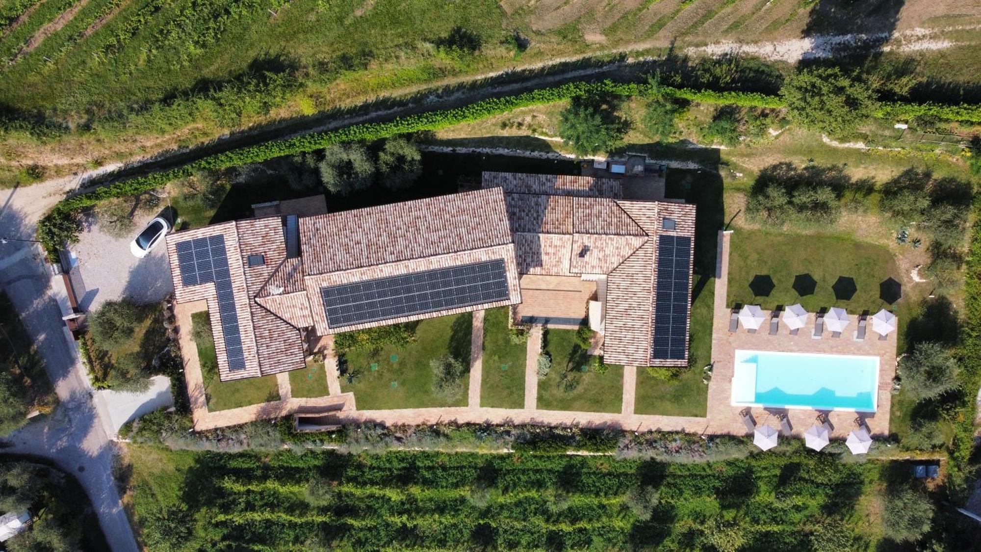 Casa Olivi Apartments Bardolino Exterior photo